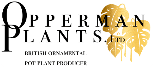 Opperman Plants Ltd